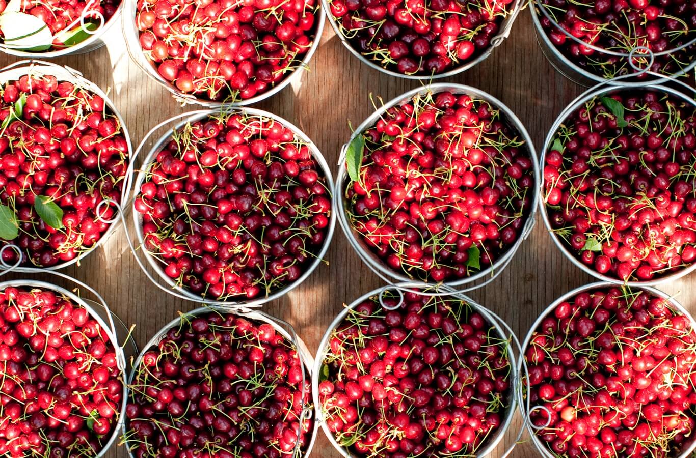 An overhead view of cherries in buckets